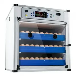 Eggs Dual Electric Edition Incubator Machine Automatic